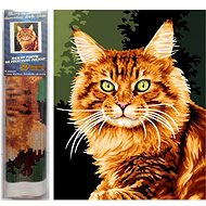 Norimpex Ginger cat 30 × 40 cm - Diamond Painting