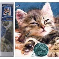 Norimpex Cat with club 30 × 40 cm - Diamond Painting