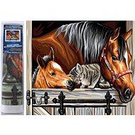 Norimpex Horse with cat 30 × 40 cm - Diamond Painting