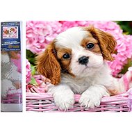 Norimpex Puppy in pink basket 30 × 40 cm - Diamond Painting