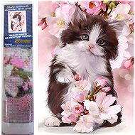 Norimpex Black and white kitten 30 × 40 cm - Diamond Painting