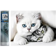 Norimpex Cat Secrets 30 × 40 cm - Diamond Painting