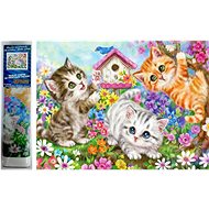Norimpex Cat Pack 30 × 40 cm - Diamond Painting