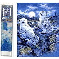 Norimpex Snowy Owl 30 × 40 cm - Diamond Painting