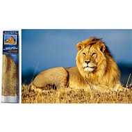Norimpex Lion Majesty 30 × 40 cm - Diamond Painting