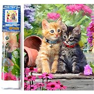 Norimpex Kittens in the garden 30 × 40 cm - Diamond Painting