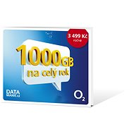 O2 Annual data connection 1TB - SIM Card