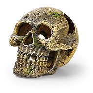 Oase Eden Skull - Aquarium Decoration