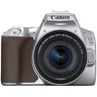 Canon EOS 250D, ezüst  + EF-S 18-55 mm f/4-5.6 IS STM - Digitális fényképezőgép
