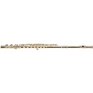 ODYSSEY OFL650C - Western Concert Flute