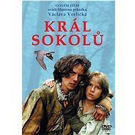 North Video Král sokolů (DVD) – papírový obal - DVD Film