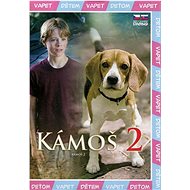 Vapet Kámoš 2 (DVD) – papírový obal - DVD Film