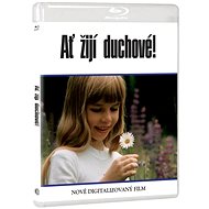 Magic Box Long Live the Ghosts (Blu-ray) - digitally restored - Blu-ray Film