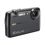 Casio Exilim HighSpeed EX-FS10 grey - Digital Camera