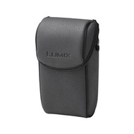 Panasonic DMW-CLZ10E - Case