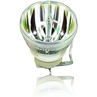 Optoma LAMP X330UST/W330UST/EH330UST /HD30UST/HD35UST - Replacement Lamp