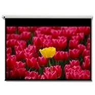 Optoma DE-9120EGA - Projection Screen