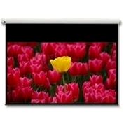Optoma DE-9106EGA - Projection Screen