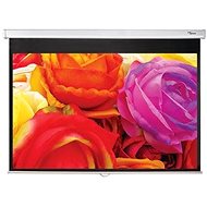 Optoma DS-1095PMG+ - Projection Screen