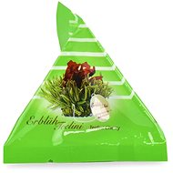 CREANO Green flowering tea - Cherryni - 1 pcs - Tea