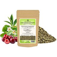 Green tea China Sencha Wildcherry - 1 kg - Tea