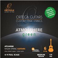 ORTEGA ATG44NM - Strings