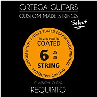 ORTEGA RQS - Strings