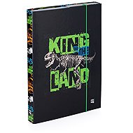 Oxybag A4 Premium Dinosaur Notebook Box - School Folder