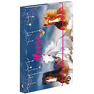 Oxybag Box for exercise books A5 Horse 2 - Desky na sešity