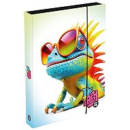 Oxybag A4 Jumbo Chameleon notebook box - School Folder