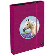 Oxybag Box for exercise books A4 Jumbo OXY Sherpy Pink - School Folder