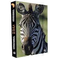 Oxybag A4 Jumbo Zebra 2 notebook box - School Folder
