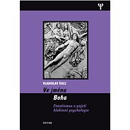 Ve jménu Boha - Vladislav Šolc