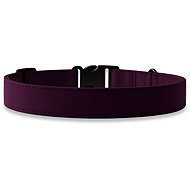 PafDog Softshell collar for dogs - dark purple S - Dog Collar