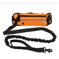 Palkar Berry set running leash with shock absorber, orange - Leash