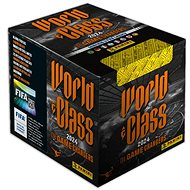 Panini Display Stickers World Class 2024 - Collector's Cards
