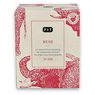 Paper & Tea Muse No 504 Darjeelin g Second Flush, BIO 15 x 3 g - Tea