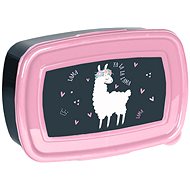 Paso Box na svačinu PP23LA-3022 - Lunch Box