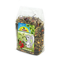 JR Farm Chinchilla Special 500 g - Treats for Rodents