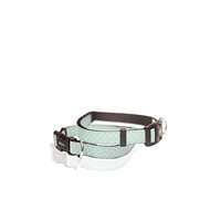 Napoleonic-era leash and collar combination, size SS - Dog Collar