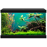 CIANO Aquarium 20 Black - Aquarium Kit