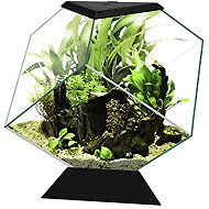 CIANO Aquarium Nexus Pure Diamond - Aquarium Kit