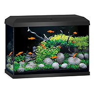 Juwel Primo 70 2.0 black - Aquarium Kit