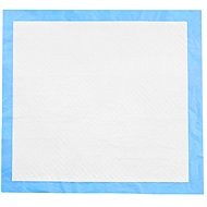 RETOO Absorbent Hygienic Pads 60 × 60cm, 100pcs - Absorbent Pad
