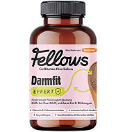 Fellows Darmfit Intestinal Comfort 200 g - Food Supplement for Dogs