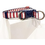 Japan Premium "English Style" with silicone protection, red - Dog Collar