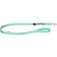 Red Dingo Switching leash 25 mm × 2 m, pastel green - Leash
