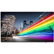 50" Philips 50BFL2214 - Large-Format Display