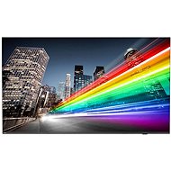 75" Philips 75BFL2214 - Large-Format Display