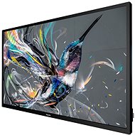 32" Philips 32BDL3511Q - Large-Format Display